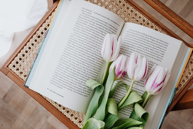 book-interior-design